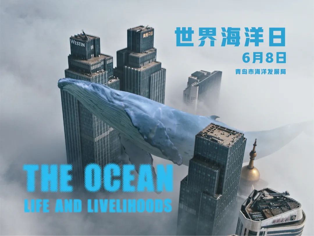 发展局推出了"青岛版"海洋日宣传海报,关心海洋,认识海洋,经略海洋