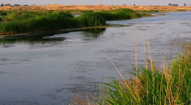 9月胶州湾大沽河口净滩活动