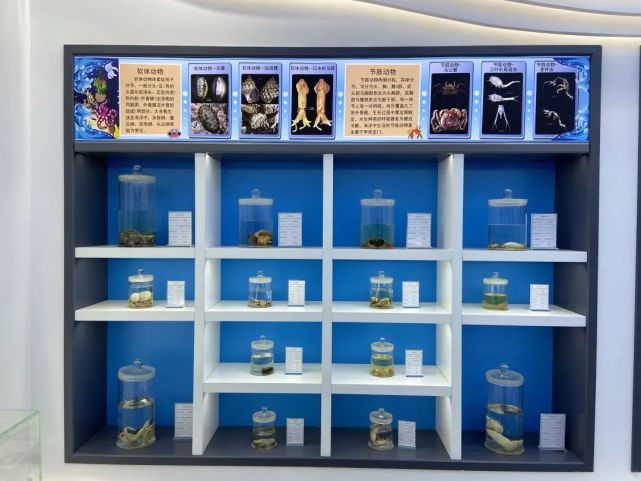 山东省青岛生态环境监测中心全新海洋生物标本室正式对社会公众开放