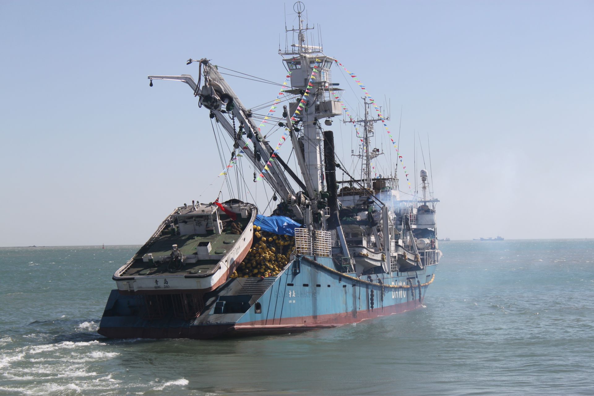 青岛新增两艘金枪鱼围网远洋渔船